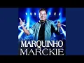 Download Lagu Não Quero te perder