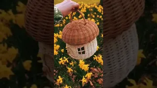 فيروز يا أنا يا أنا انا وياك صرنا القصص الغريبة حالات واتس ورد اصفر 