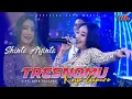 Lagu Shinta Arsinta - Tresnomu Koyo Gapuro (Official Live Music)