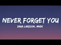 Download Lagu Zara Larsson, MNEK - Never Forget You (Lyrics)