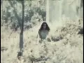 Mutual Benefit - Advanced Falconry