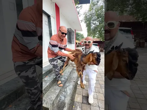 12kg desi bakra challenge….😍❤️🍗 #chickenlegpiece #ulhaskamthe #foodchallenge #indianfood #shorts
