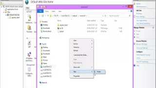 Run Cgi Script in Python Using Windows