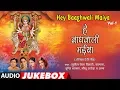 Lagu HEY BAAGHWALI MAYIYA Vol 1 | ANGIKA DEVI GEET AUDIO SONGS JUKEBOX | SUNIL CHHAILA BIHARI,KALPANA