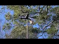 Backyard Weather Station
