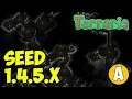 Terraria How to find the SPIDER CAVE BIOME NEW SEED for 1 4 5 6 NO DIG 2026