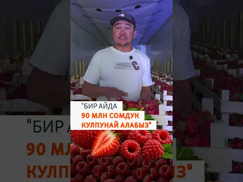 "Бир айда 90 млн сомдук кулпунай алабыз"