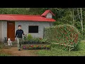A CEO’s Quiet Farm Life: Trieu Phong and His Beautiful Tomato Garden