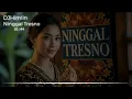 Download Lagu Ninggal Tresno - Lagu Galau Jawa Paling Menyentuh Hati | Official Music Video