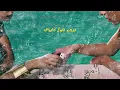 Marwan Moussa ft.@karimosama_  - shaklekmagnona (Official Lyric Video)
