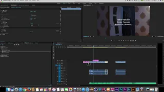 تعلم المونتاج في دقيقة إضافة صدى للصوت 