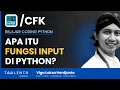 Apa Itu Fungsi Input di Python