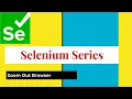 Selenium Java Web Browser Zoom Out functionality