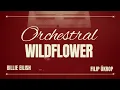 Download Lagu WILDFLOWER (Orchestral Remix by Filip Úkrop)