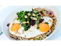 Download Lagu Indonesian Eggs