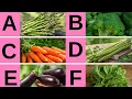 A to Z Vegetables Name in English Vegetables with Uses Learn for Kids ZooZoo Rhymes