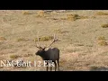 New Mexico GMU Unit 13 Hunting Information