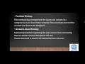 Class Testing and Mutation Testing