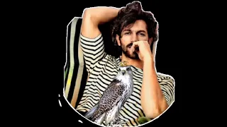 تسجيل دخول باسم شاهين 