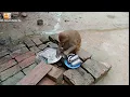 YouTube वीडियो प्लेयर