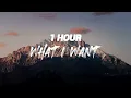 Morgan Wallen, Tate McRae - What I Want [ 1 HOUR ]