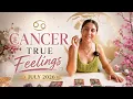 CANCER THEIR TRUE FEELINGS FOR YOU July 2026 Tarot Reading