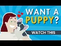 UNLOCK THE SECRET to Finding Your Perfect PUPPY