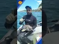 Download Lagu Scared baby dolphin rescued after getting caught in a net ❤️