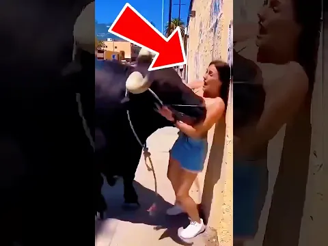 ANIMAIS que vão te deixar sem REAÇÃO