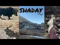 Lagu SHADAY- A forgtten village