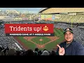 Watching the Seattle Mariners at T-Mobile Park MLB stadium guide
