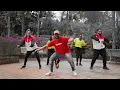 PSquare - Shekini - DANCE BRASIL | COREOGRAFIA  @alexsasissom Sucessos da Zumba