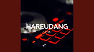 Download Hareudang (Remix) MP3