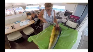 ATLANTIC CROSSING. Part II. Going WEST to BARBADOS. Sailing Ocean Fox Ep 46