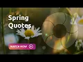 Spring Quotes