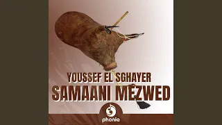                       دندنها
