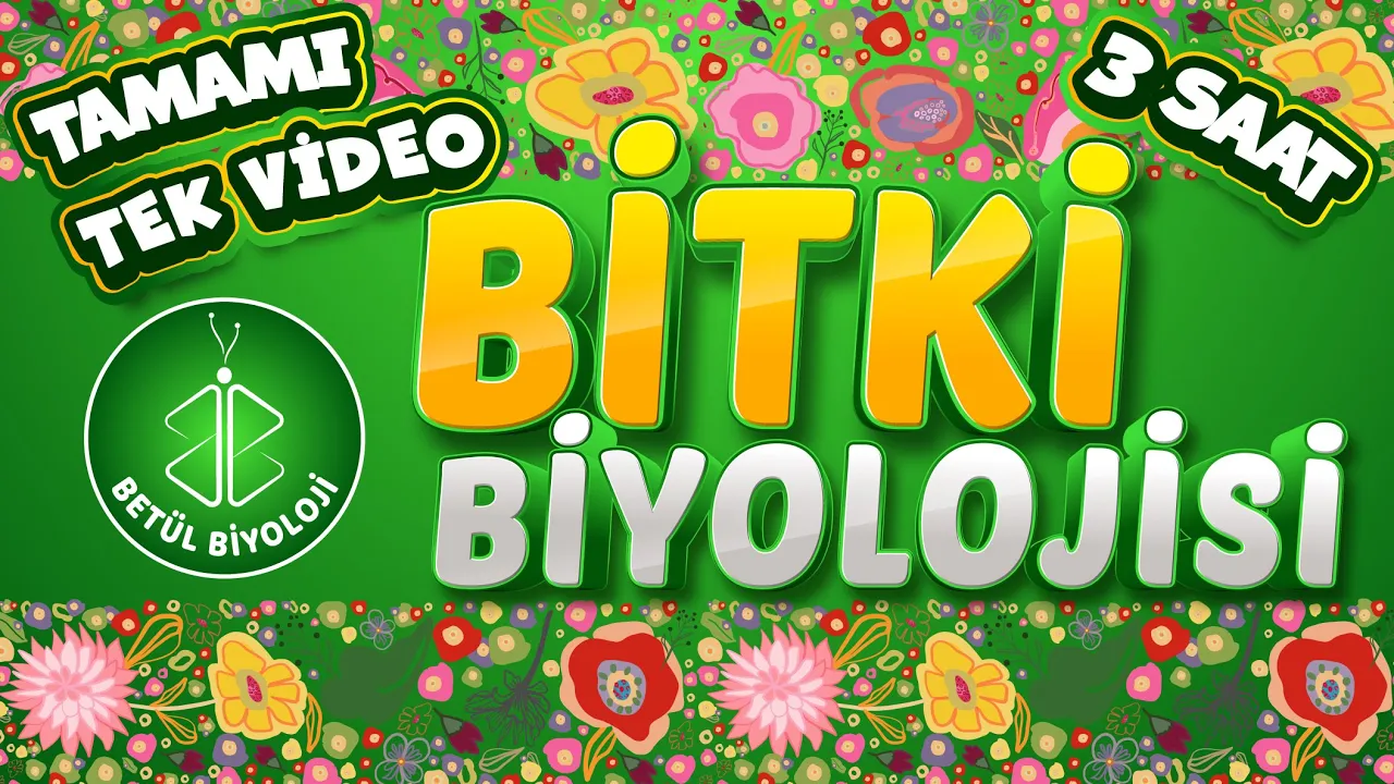 Bitki Biyolojisi Tekrar | TAMAMI TEK VİDEO | AYT Biyoloji Konu Anlatımı