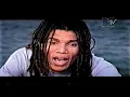 Natiruts - O Carcará E A Rosa
