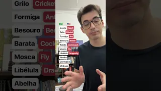 Insetos em inglês?
