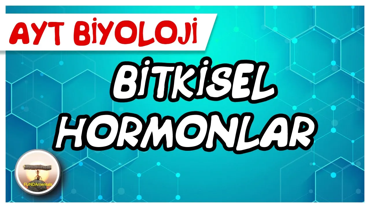 AYT Biyoloji | Bitkisel Hormonlar #sayfa196