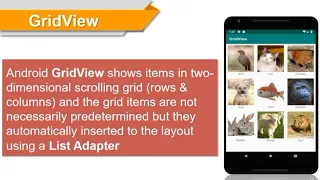 How to create GridView using List Adapter in Android studio