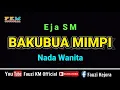 Lagu Eja SM - BAKUBUA MIMPI ( KARAOKE )