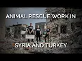 Global Compassion Fund Fireside Chat Animal Rescue Work in Syria and Turkey
