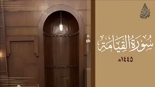 سورة القيامة محمد اللحيدان رمضان 1445 Mohammad Al Luhaidan Al Qiyamah 