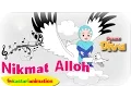 NIKMAT ALLOH  - Lagu Anak Indonesia - HD | Kastari Animation Official