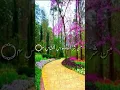 Download Lagu Surat-Al-Nas by Mahmoud Khalil Al- Husary-Quran