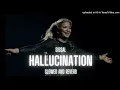 Download Lagu Sissal - Hallucination (slowed and reverb)