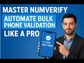 How to Validate Bulk Phone numbers using Numverify API - Complete Guide