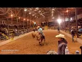 Dixie Horse Auction - Day 2