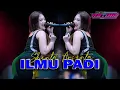 Download Lagu SHINTA ARSINTA - ILMU PADI (OFFICIAL LIVE MUSIC)  NEW ASTINA - PM AUDIO